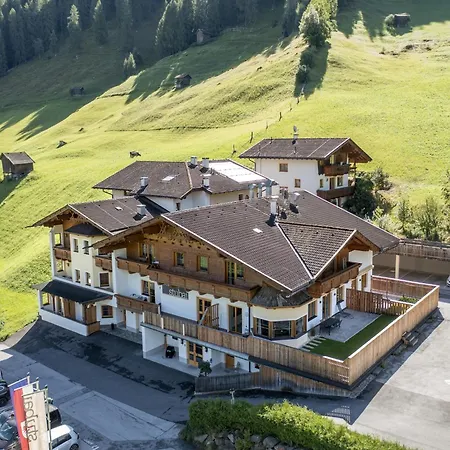 Family Apartment In Neustift With Sauna And Garden Appartamento *