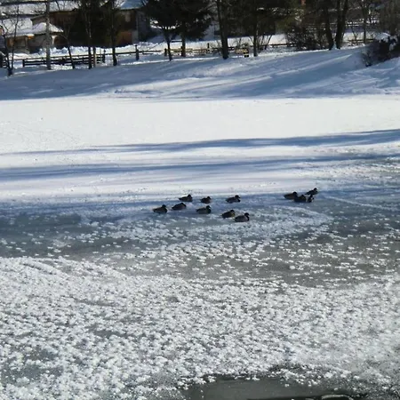 Apartment In Stubai Valley Near Slopes *